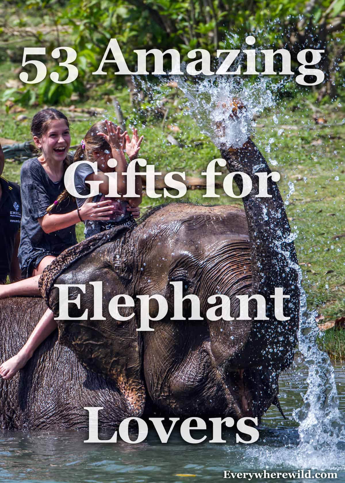 amazing elephant gifts